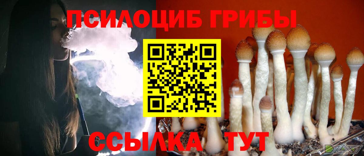 сколько стоит  Галлюциногенные грибы Psilocybine cubensis  Вход с VPN  Хабаровск 